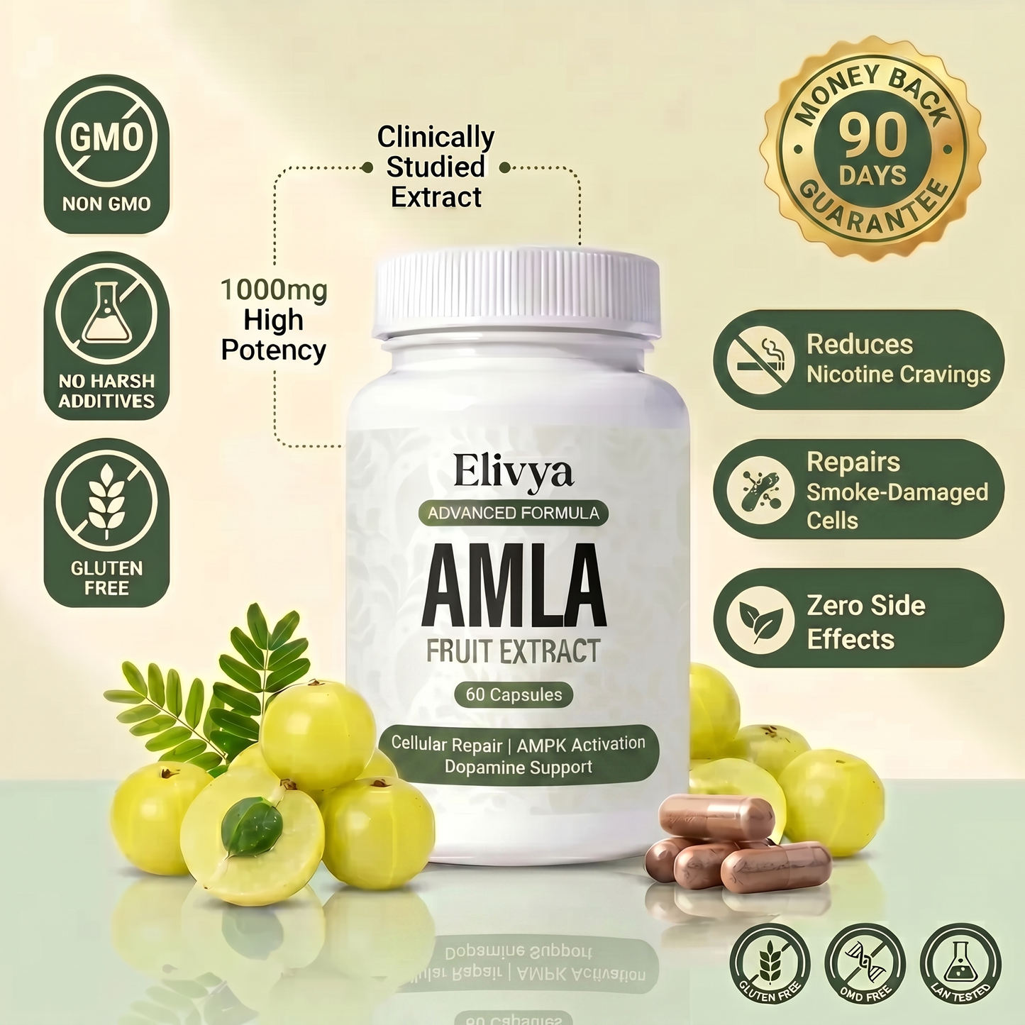 Amla SuperFruit