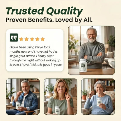 Amla SuperFruit Capsules